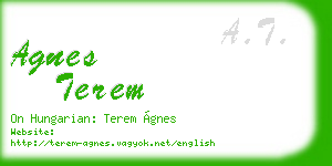 agnes terem business card