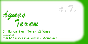 agnes terem business card